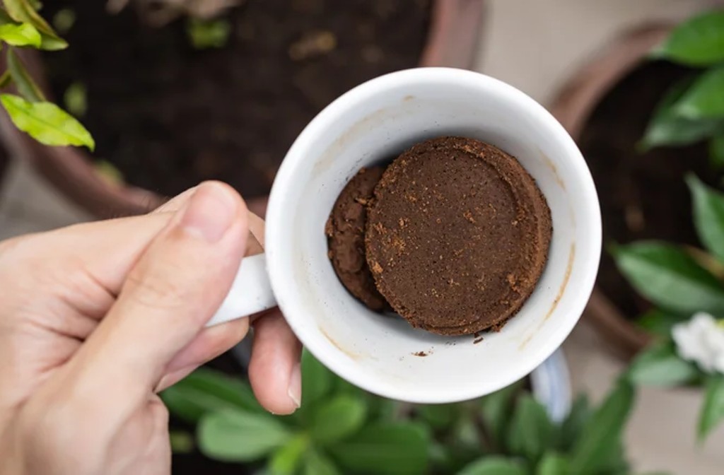 Genius Ways To Use Leftover Coffee Grounds In Your Yard & Garden