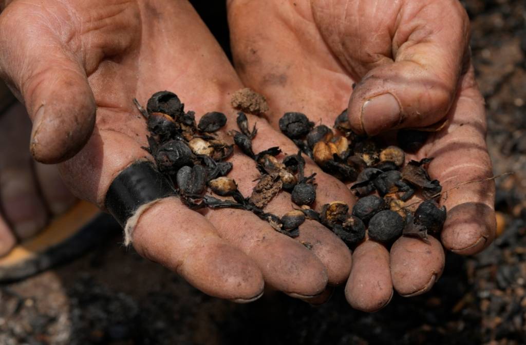 Is the price of your morning coffee on the rise?