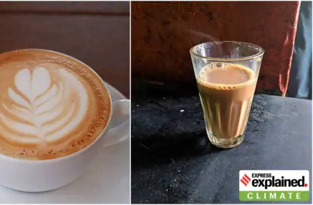 Explained: What is more eco-friendly, having tea or coffee