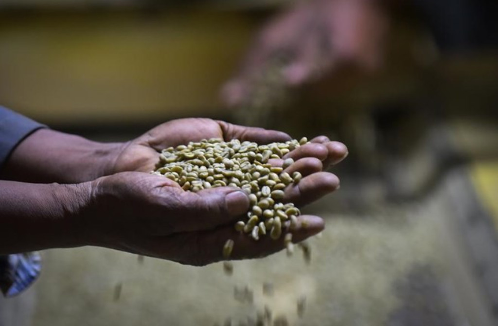 Ethiopia launches national coffee platform to maximize earnings