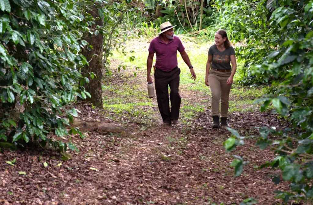 How much of an impact does coffee production really have on biodiversity?