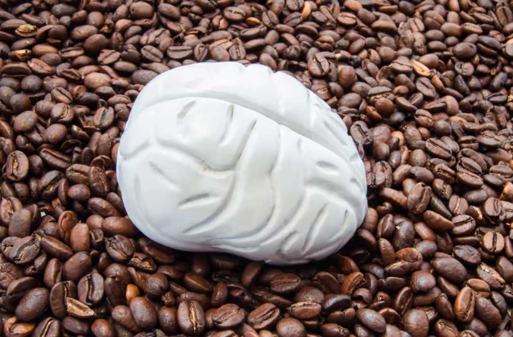 How your morning coffee is changing the structure of your brain