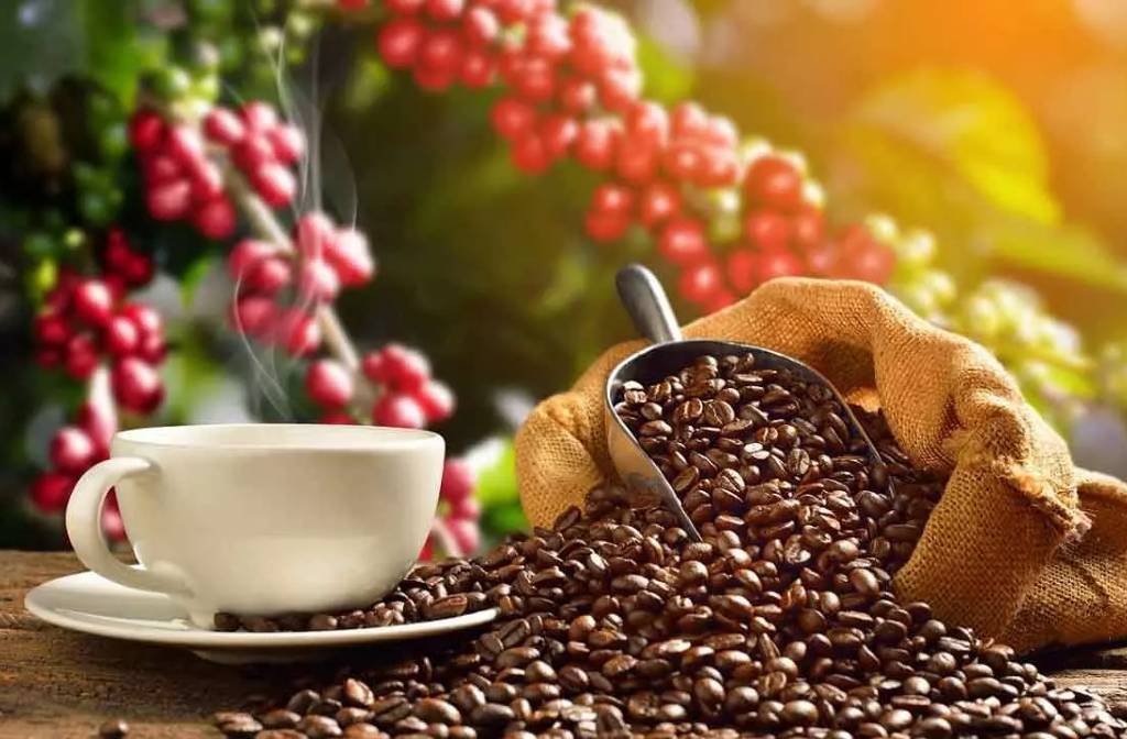 Coffee Set To Be Dearer For Consumers