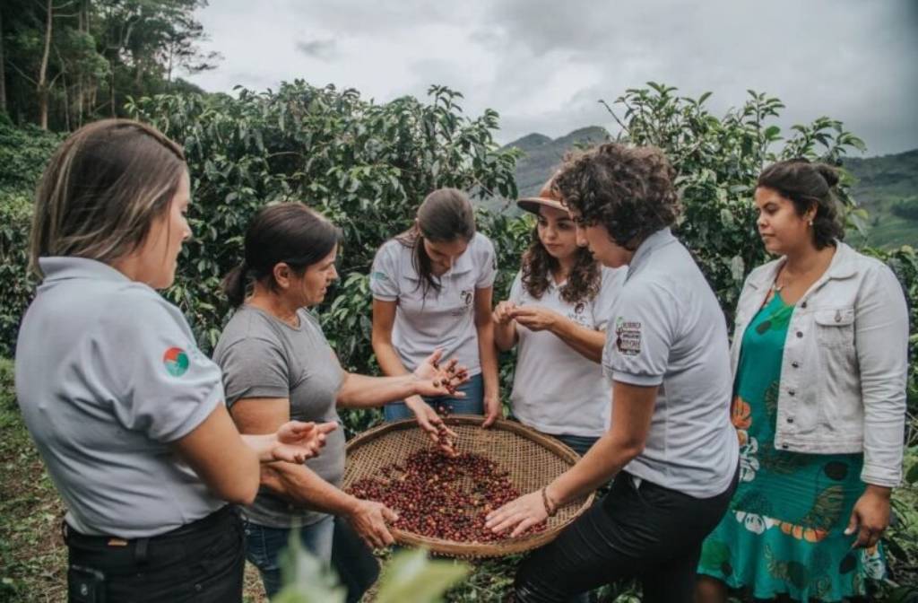 IWCA celebrates global impact of women in coffee