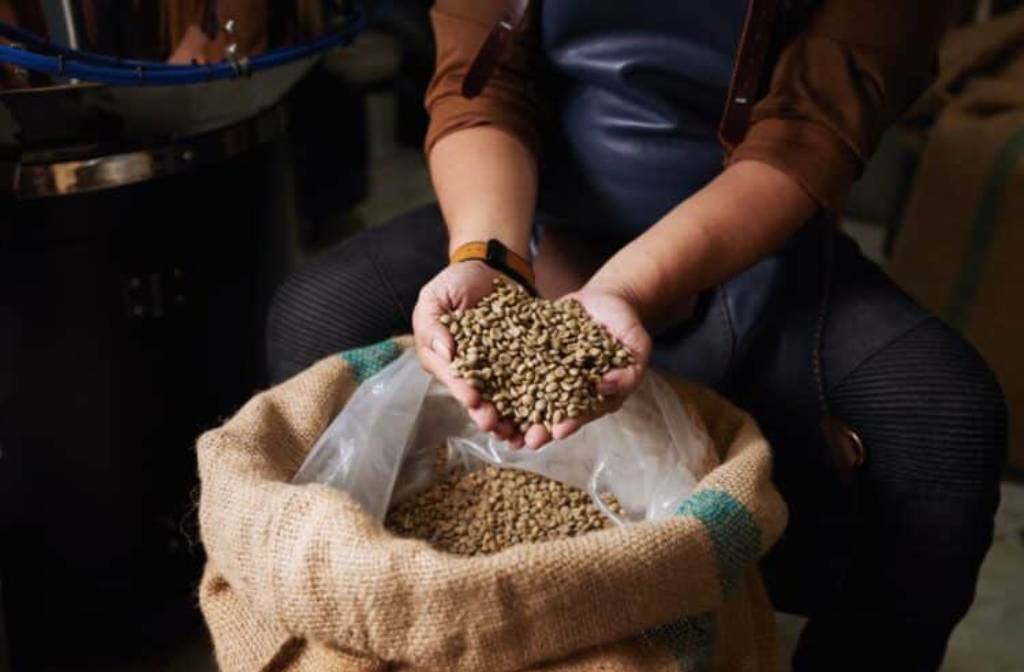 New research to explore green coffee defects