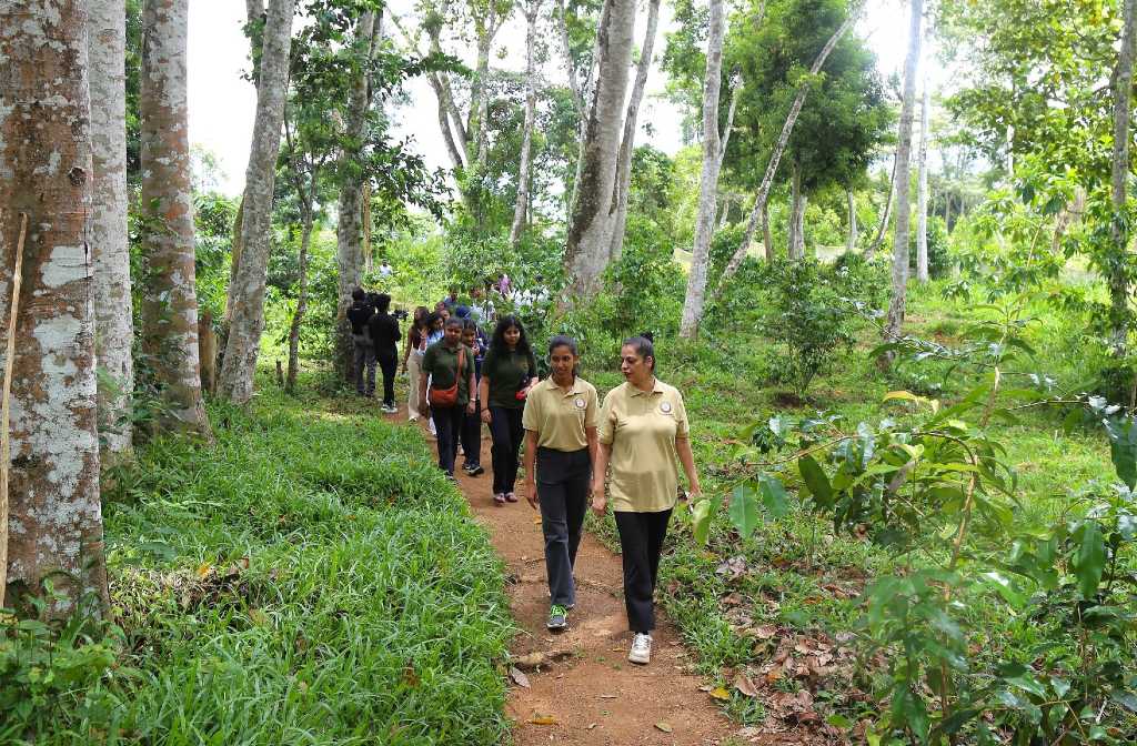 Sri Lanka’s coffee heritage trail launched