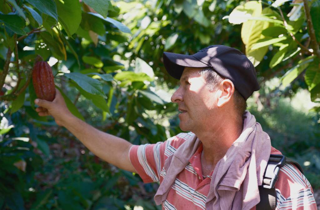 Some Colombian Coffee Growers Switching to Cacao as Temperatures Rise