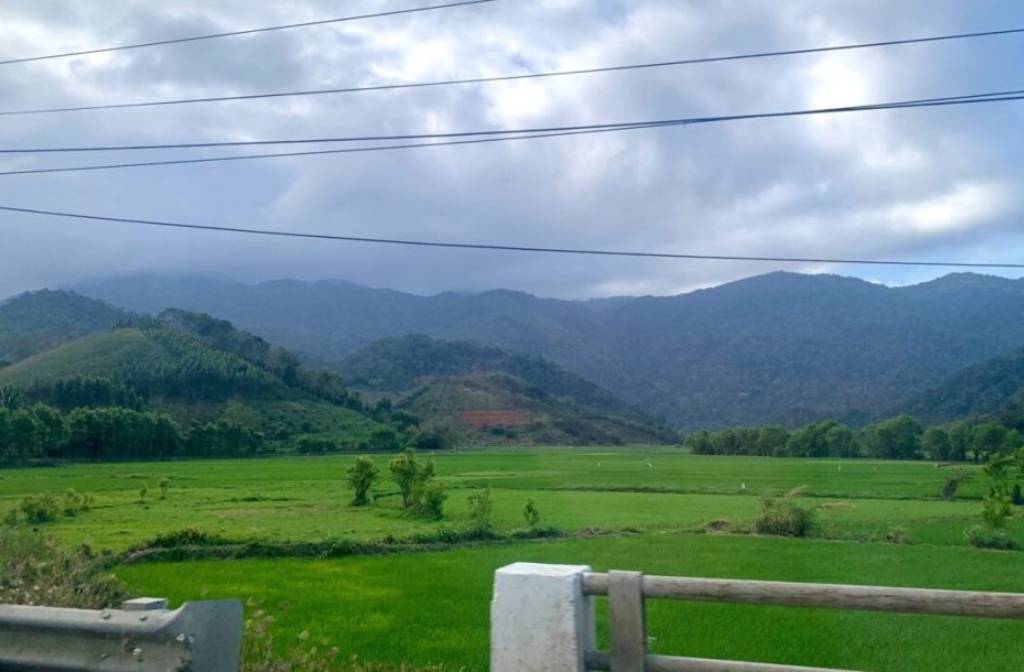 Coffee, conflict, and inadvertent state-building in Vietnam