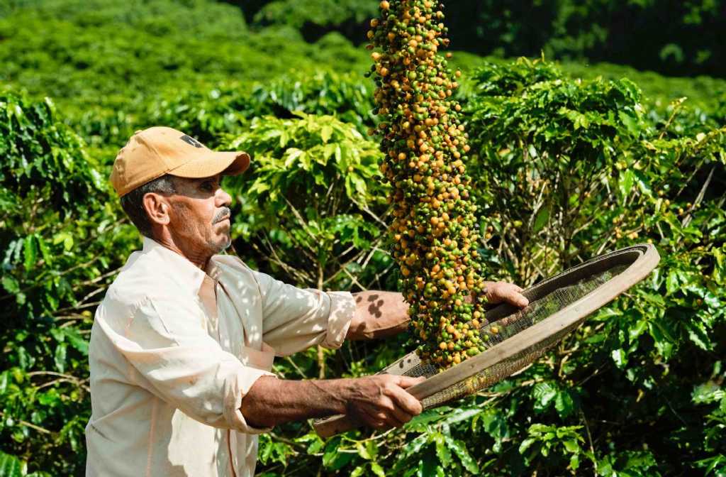 China, LatAm brewing stronger coffee biz ties