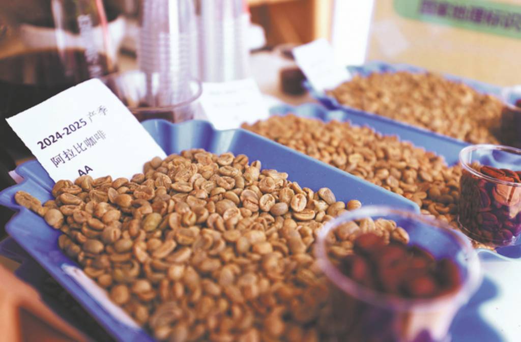 Yunnan's specialty beans generate buzz in global coffee sector
