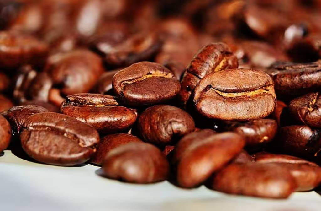 Brazil's IBGE Expects 2025 Coffee Output To Hit 55 Million 60-Kilogram Bags