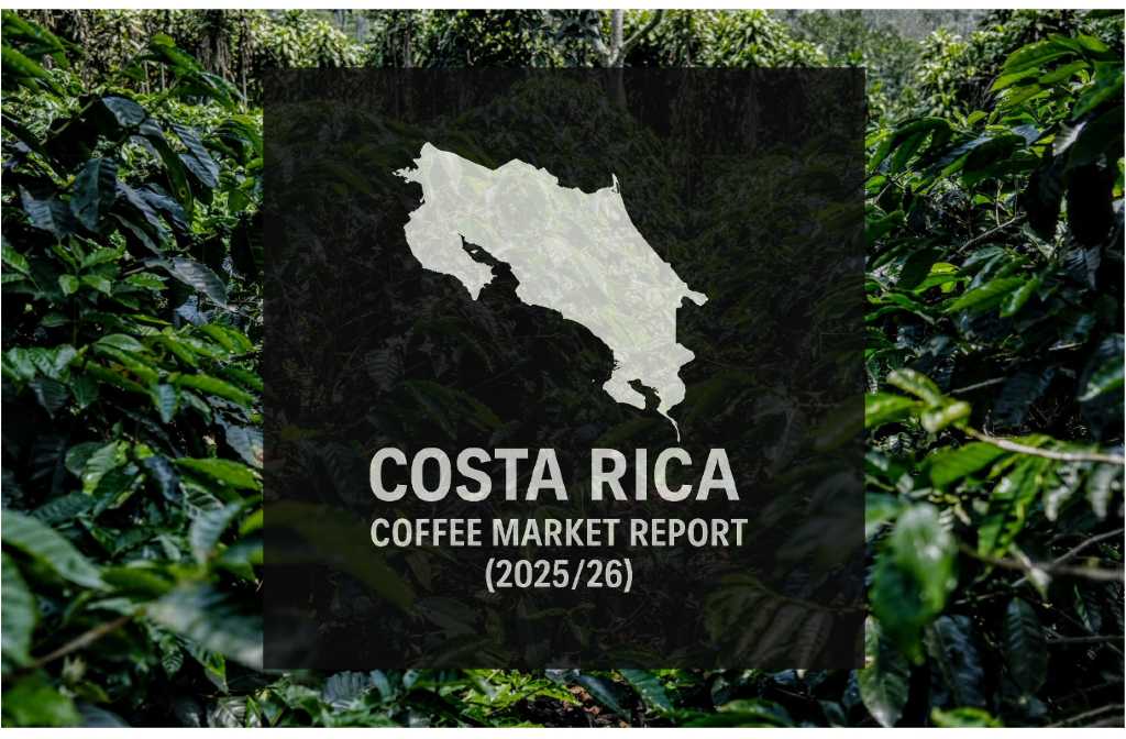 Costa Rica Coffee Report: Production, Planted Area and Farm Numbers Down