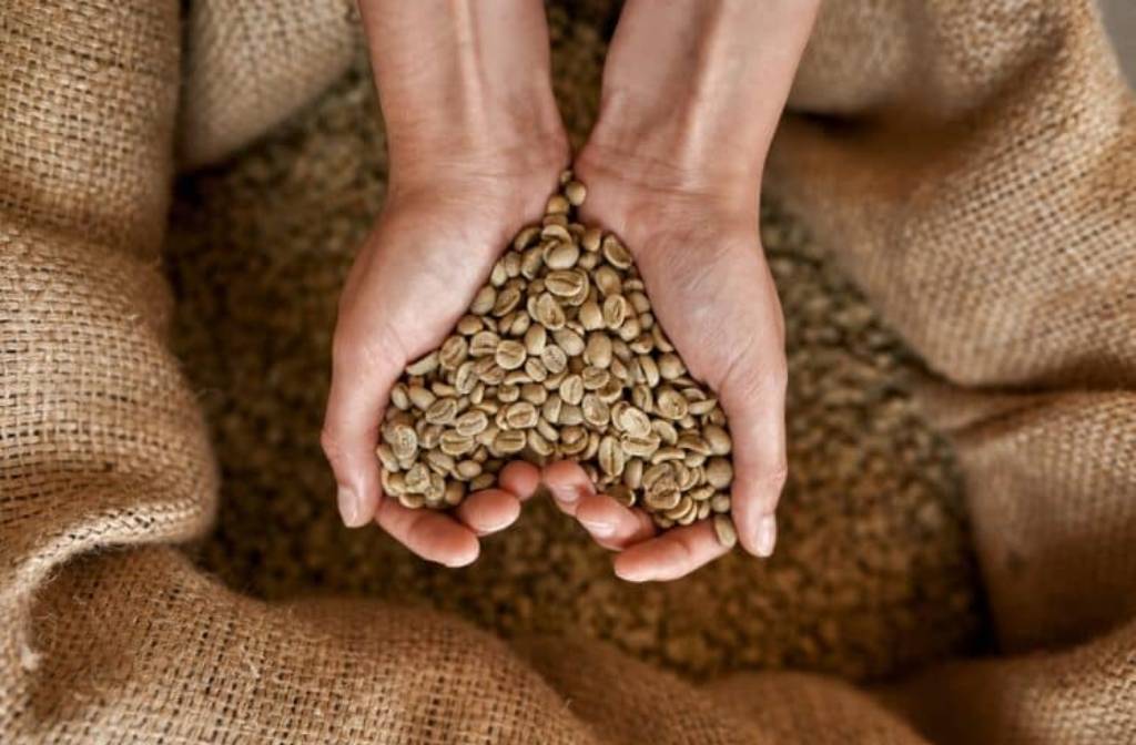 Calls for coffee tariffs exemption gaining traction