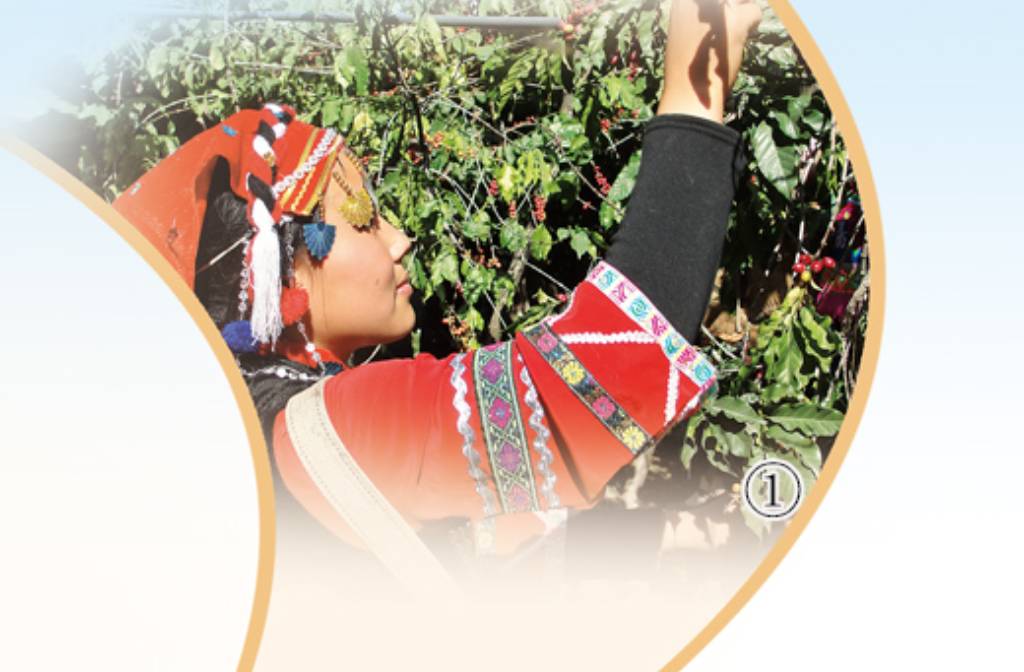 Yunnan coffee gains global recognition through innovation, quality upgrades
