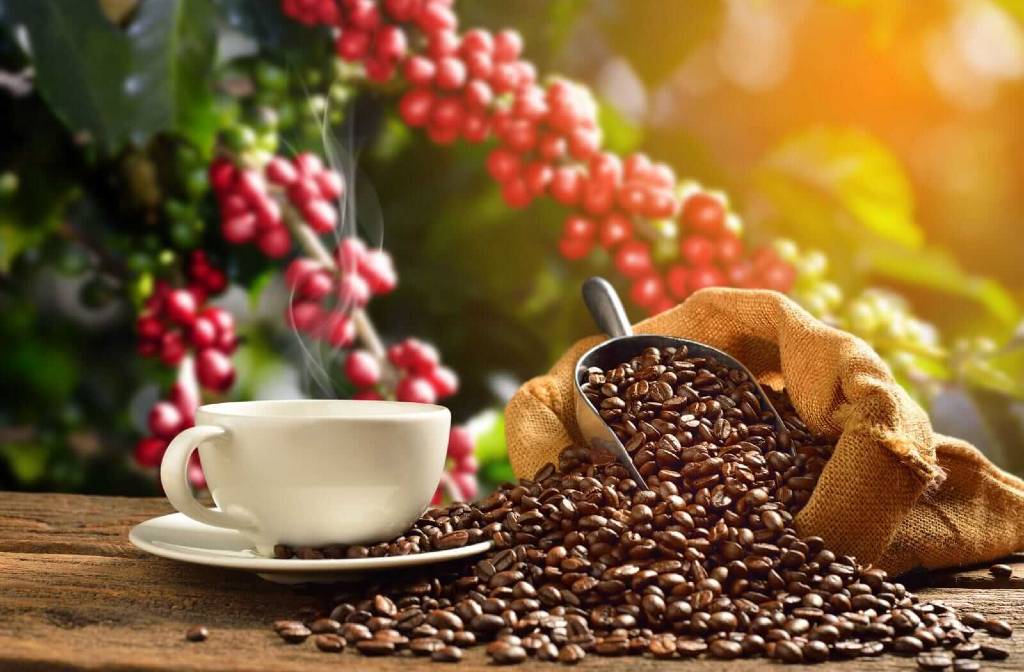 Arabica Coffee Prices Settle Higher on Weather Concerns in Brazil