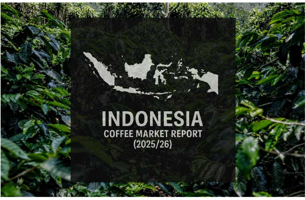 Indonesia Coffee Report: Exports Up Though Tariffs and EUDR Linger