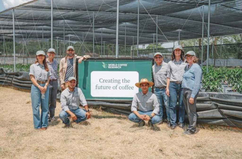 Addressing coffee’s funding gap