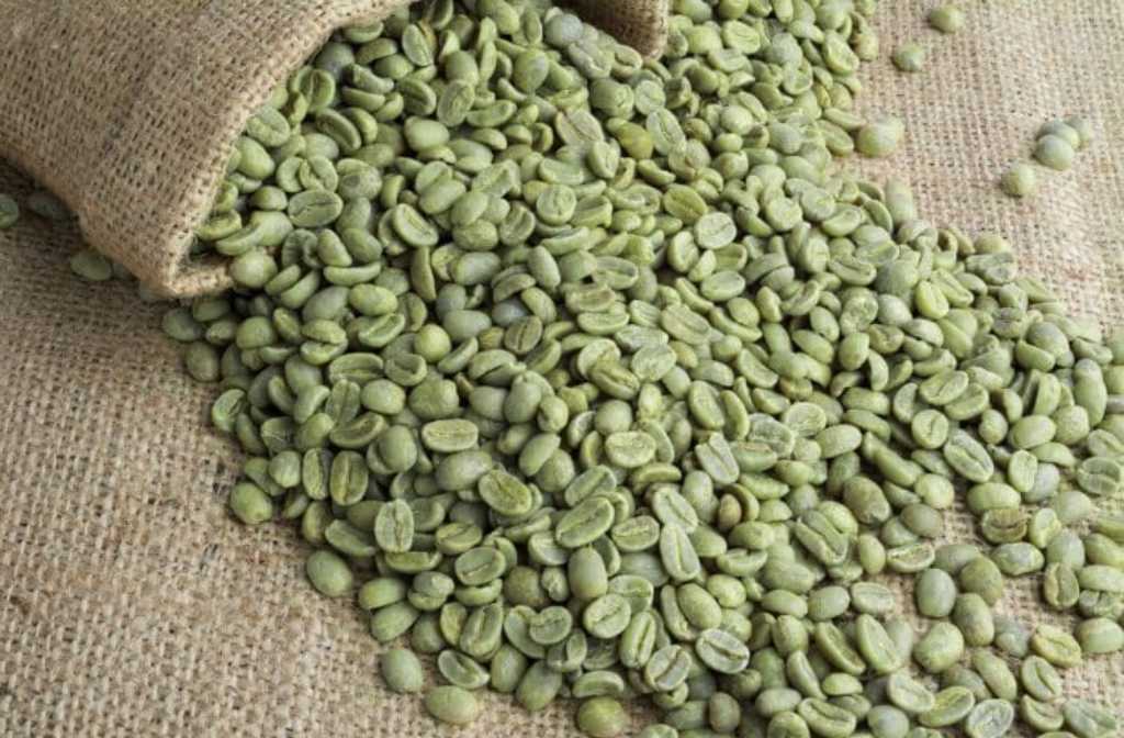 Coffee prices still “searching for direction”: ICO Report