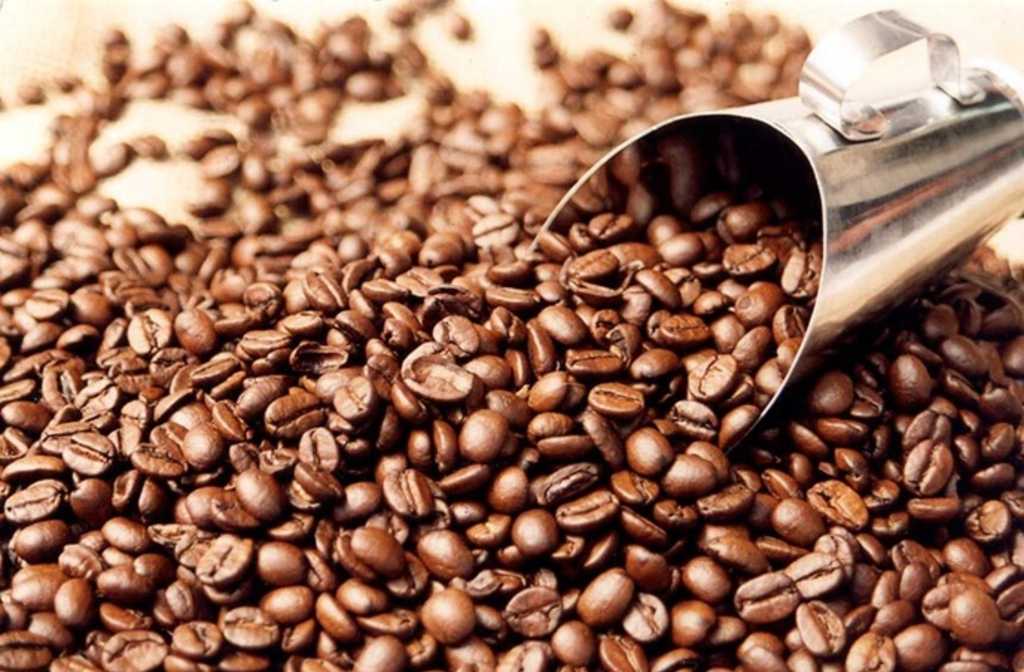 Mozambique: Government expects almost 100 tonnes of coffee production this year