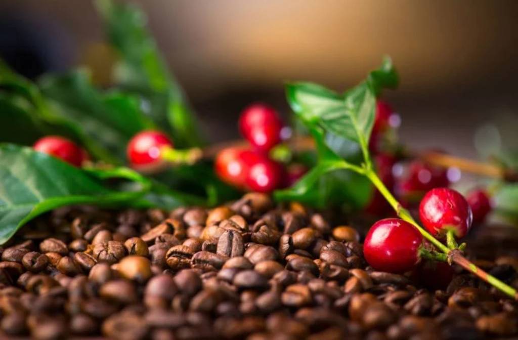 $1 Billion Problem: New Technology Could Save Your Daily Cup of Coffee