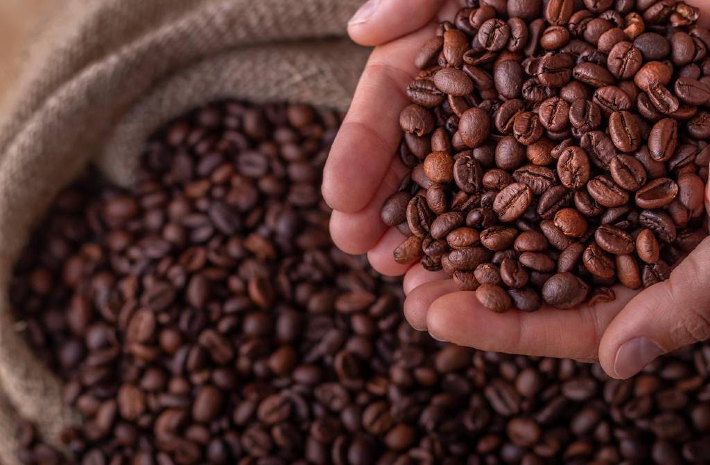 Istanbul Coffee Festival to return to Kadikoy Sept. 11–14 with tastings, workshops, and music