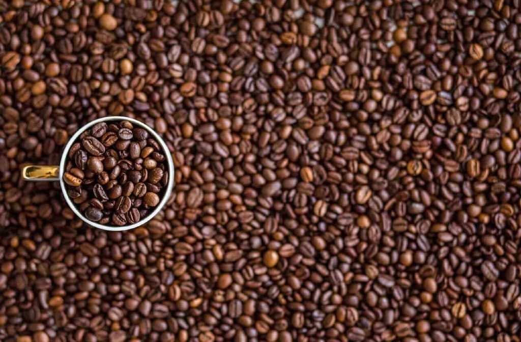 Robusta Coffee Prices Are Still Falling. Are We Finally at an Inflection Point?