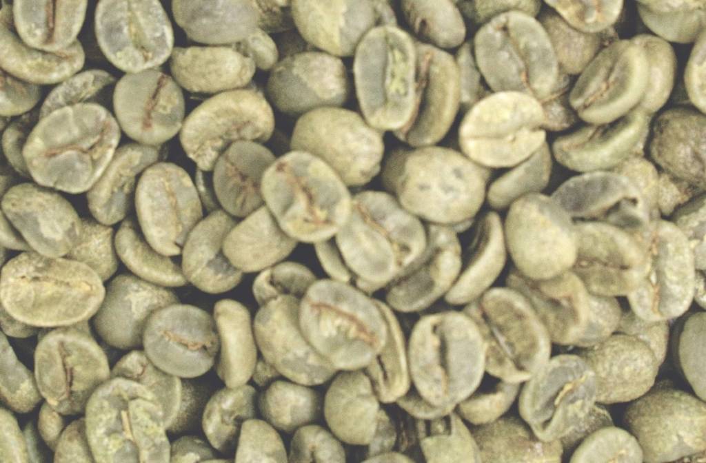 Federal Court Issues $31 Million Judgement in Green Coffee Dispute