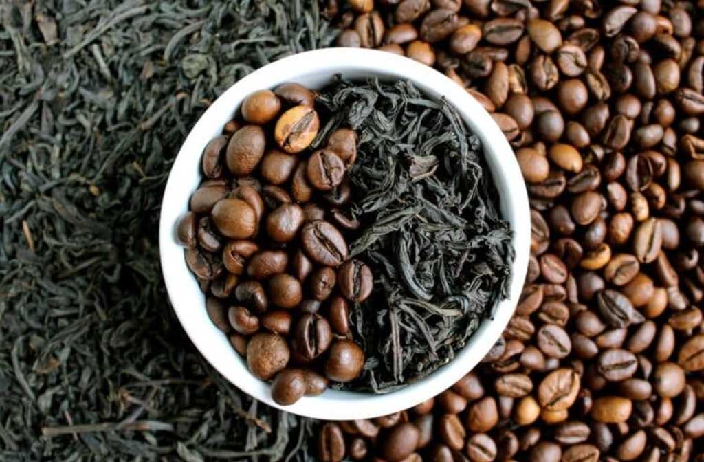 Report reveals insights into South African coffee market
