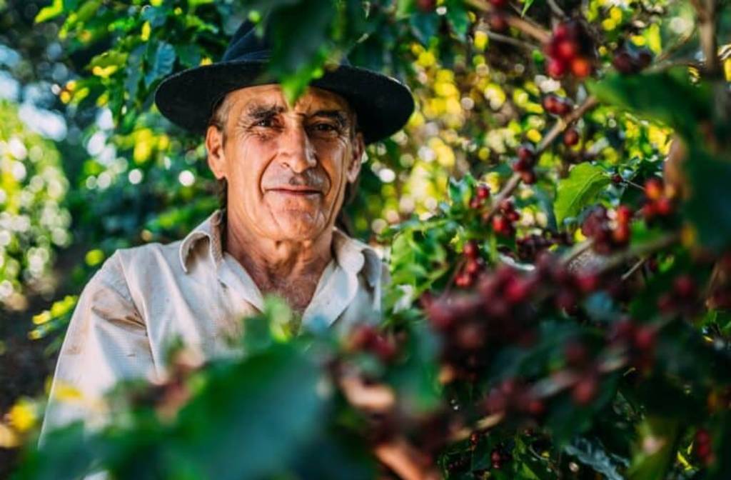Is coffee farming facing an ageing-out crisis?